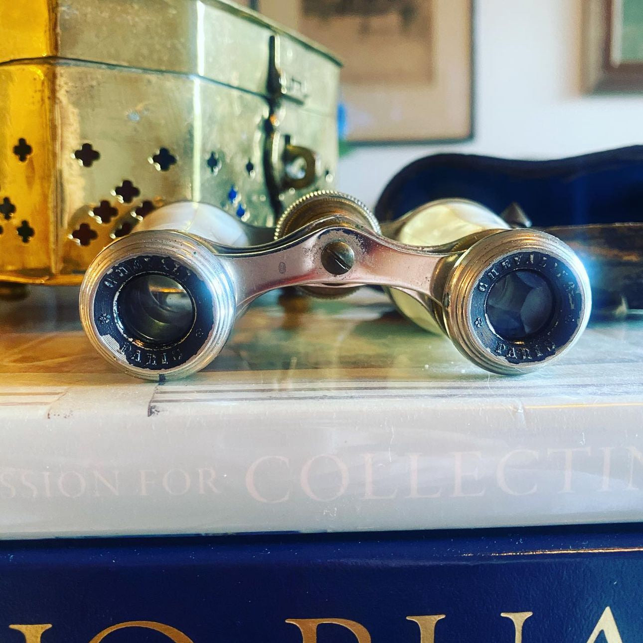 French Mother Of Pearl Opera Glasses