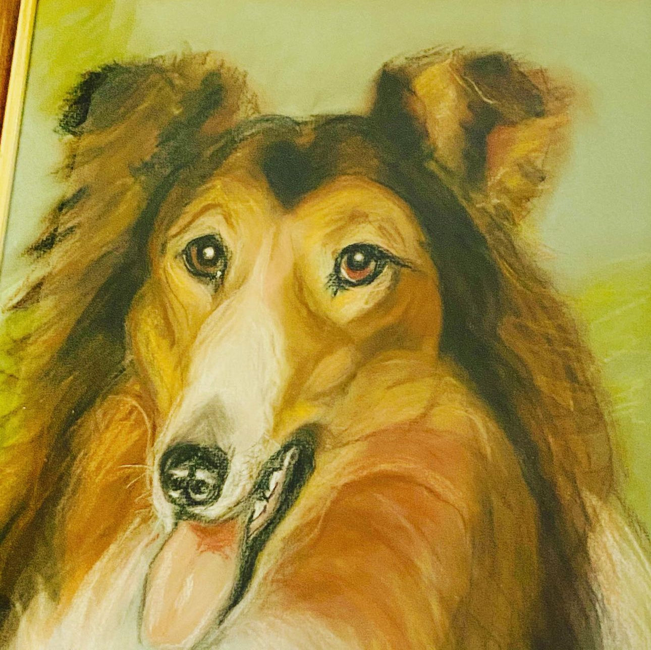 Signed Pastel Drawing Of A Collie Pup