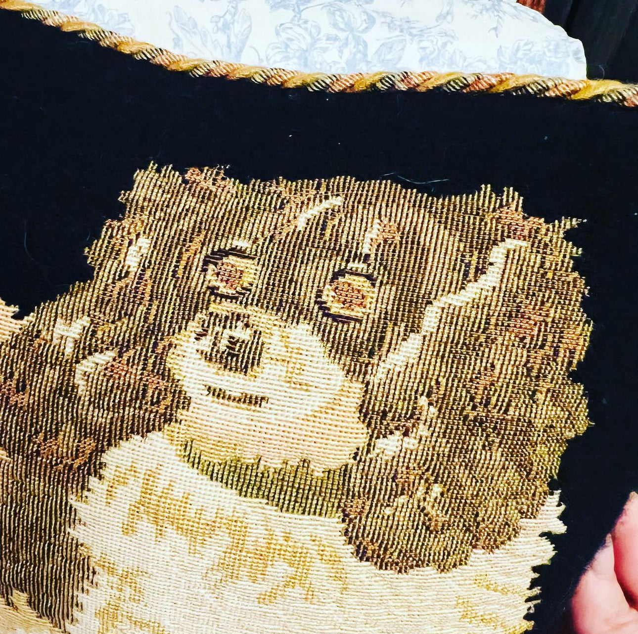 Cavalier King Charles Accent Tapestry Pillow