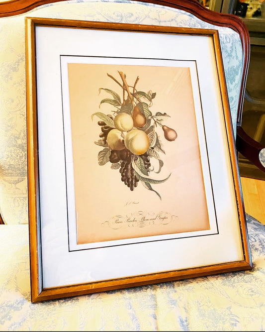 Vintage Framed Engraving By J.L Provost